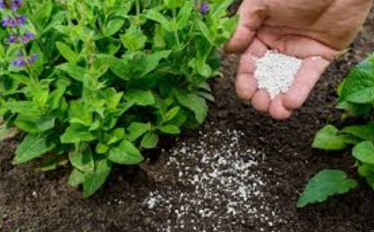 indusina-fertilizers